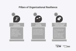 Pillars of Organizational Resilience